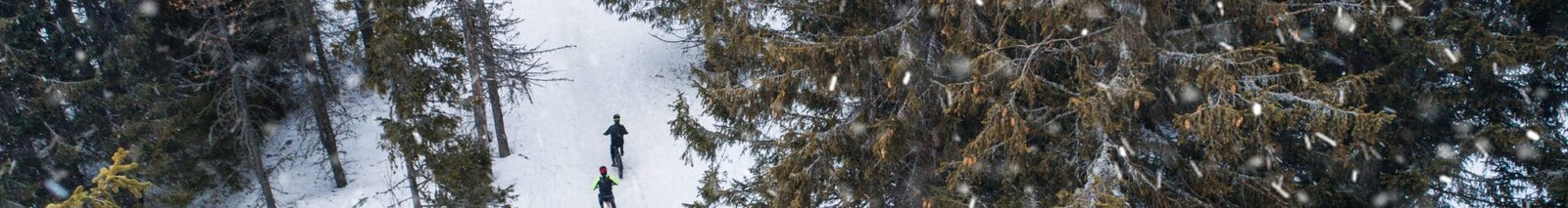 Blog de Buddlo & bienfaiteurs